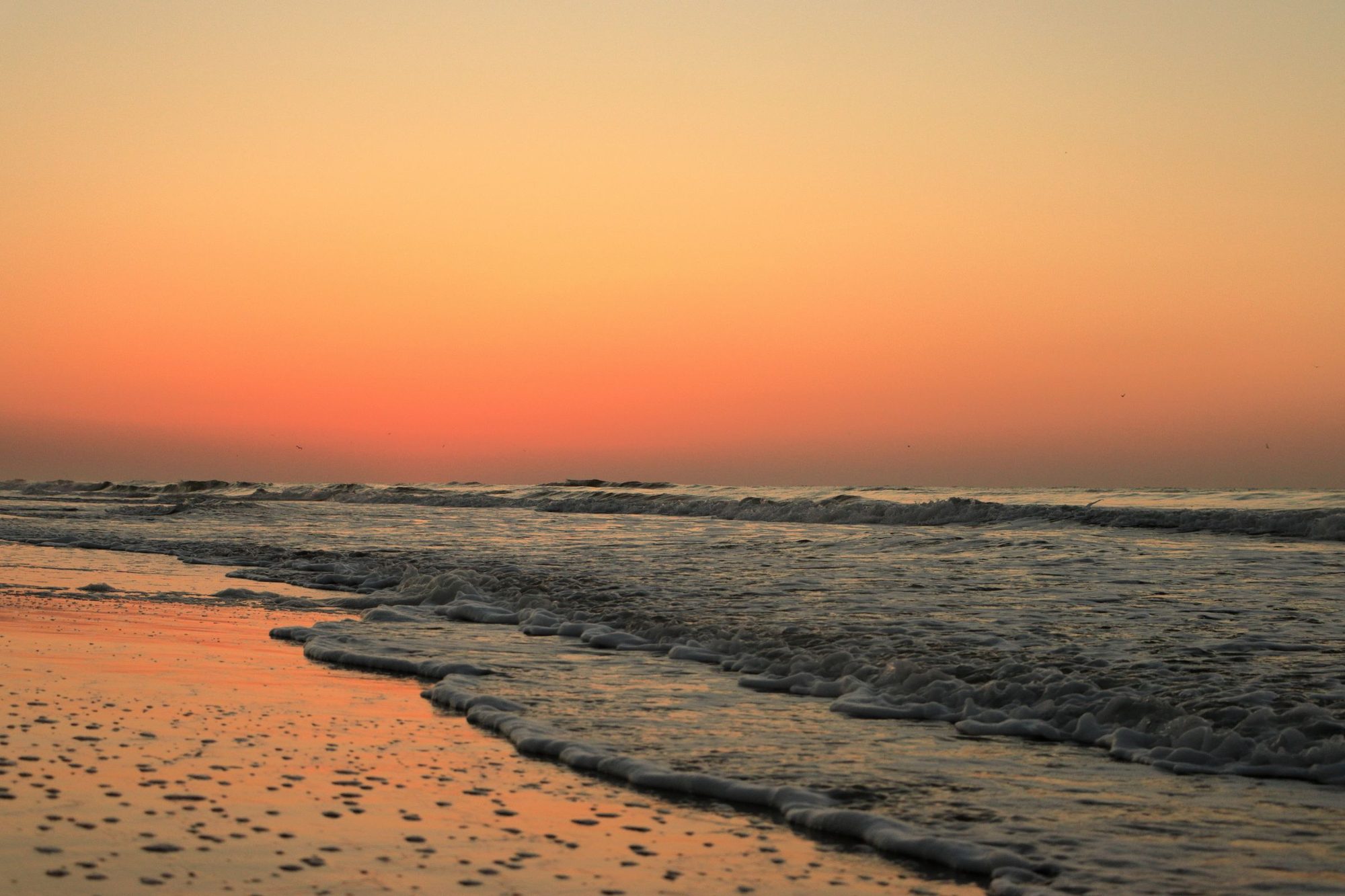 Dawn light over the Atlantic at Hilton Head Island beach