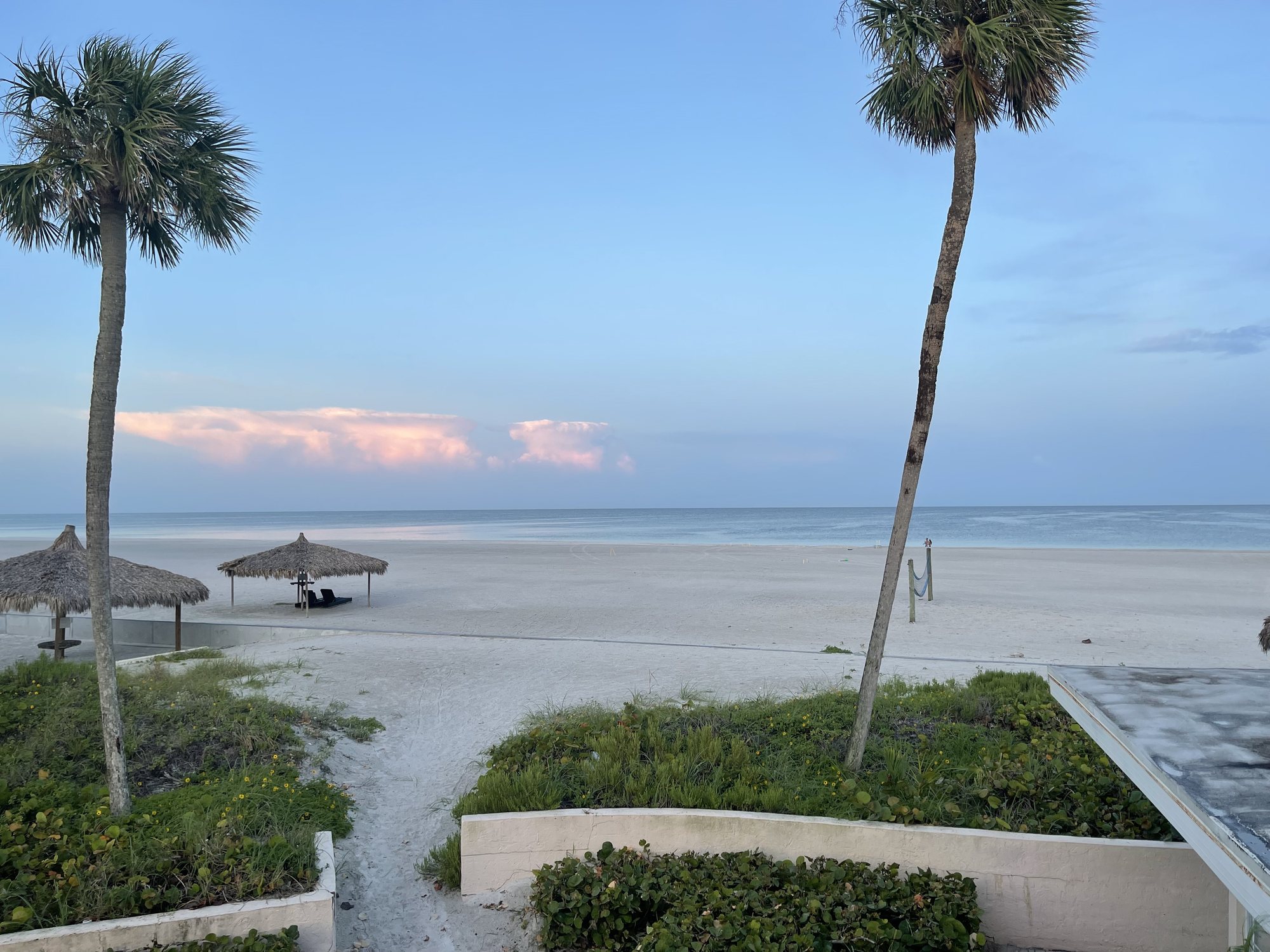 Quiet morning light over Siesta Beach with palm trees and white quartz sand